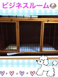 %ef%be%8b%ef%be%9e%ef%bd%bc%ef%be%9e%ef%be%88%ef%bd%bd%ef%be%99%ef%bd%b0%ef%be%91