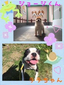 ジョージ・ララ