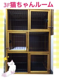 3F猫ちゃんルーム