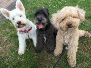 2016.2.12田中ダン・セロ・ソラ君